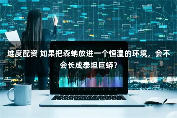 维度配资 如果把森蚺放进一个恒温的环境，会不会长成泰坦巨蟒？