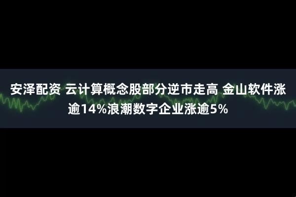 安泽配资 云计算概念股部分逆市走高 金山软件涨逾14%浪潮数字企业涨逾5%