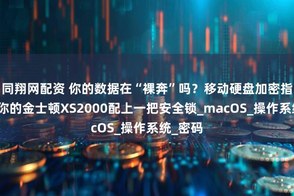 同翔网配资 你的数据在“裸奔”吗？移动硬盘加密指南，给你的金士顿XS2000配上一把安全锁_macOS_操作系统_密码