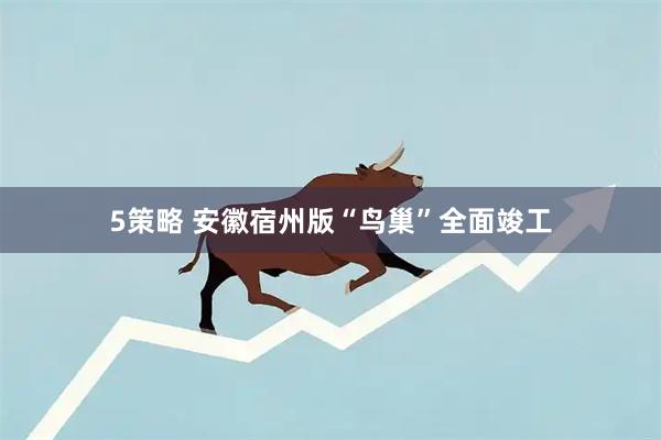5策略 安徽宿州版“鸟巢”全面竣工